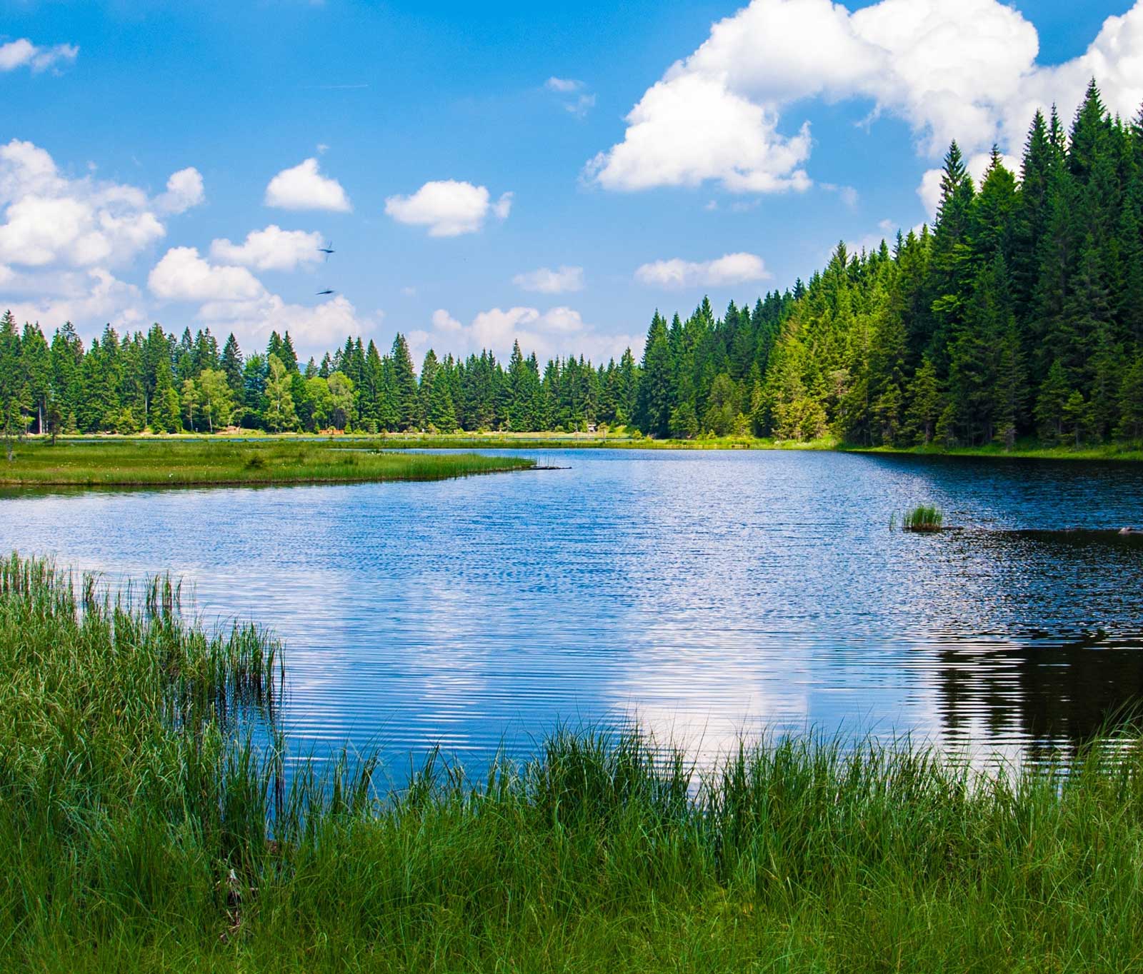 fish Haven outdoor scenery
